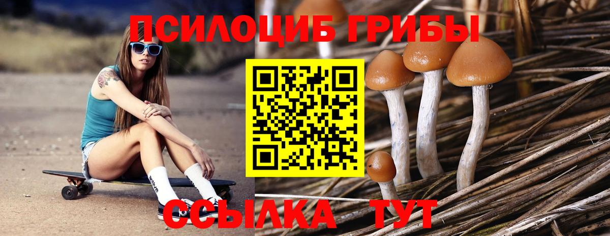 Галлюциногенные грибы Magic Shrooms  Вход с VPN  цены   Галлюциногенные грибы Psilocybe  Светлоград 