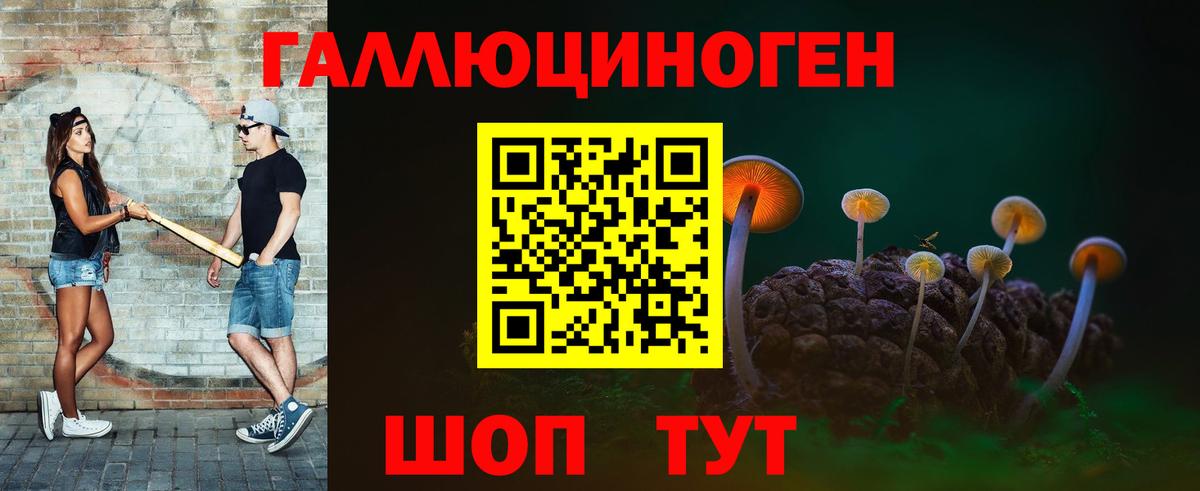 Галлюциногенные грибы Cubensis Светлоград